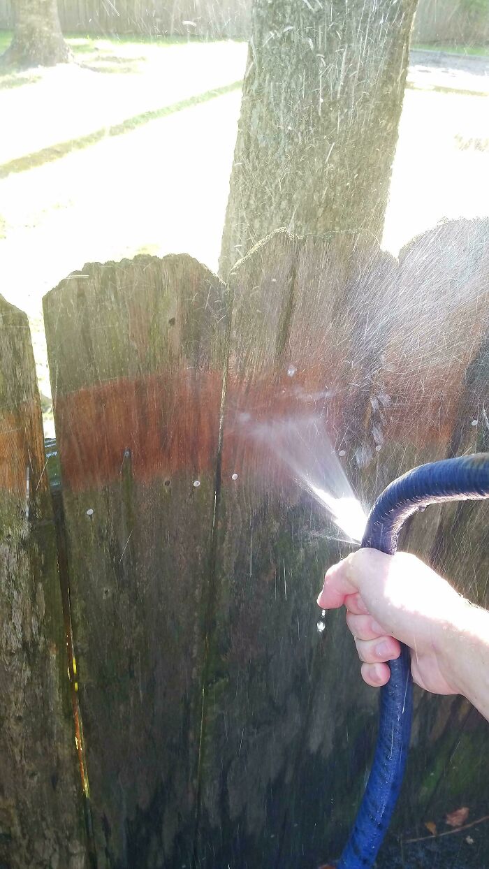 A DIY fail: a hand holding a hose, spraying water through a gap in a wooden fence, causing water to drip.