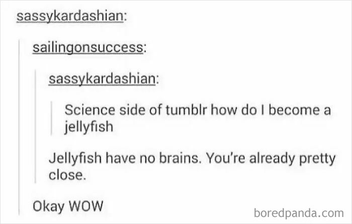 A funny comment section dialogue on Tumblr where someone asks how to become a jellyfish. The comment section is funnier.