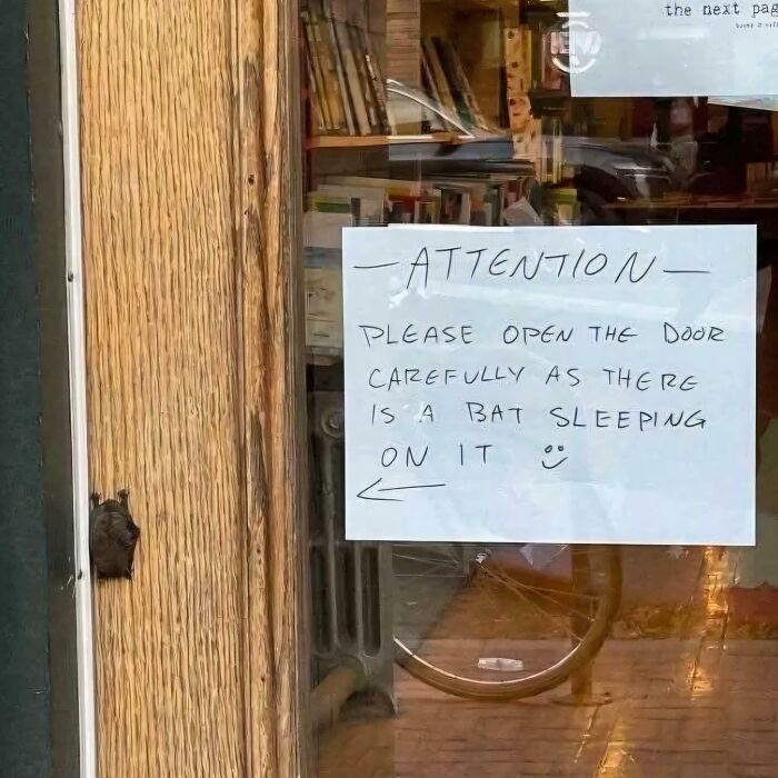 A chaotic sign on a door reads Attention: Please open carefully as there is a bat sleeping on it, a sign in the wild.