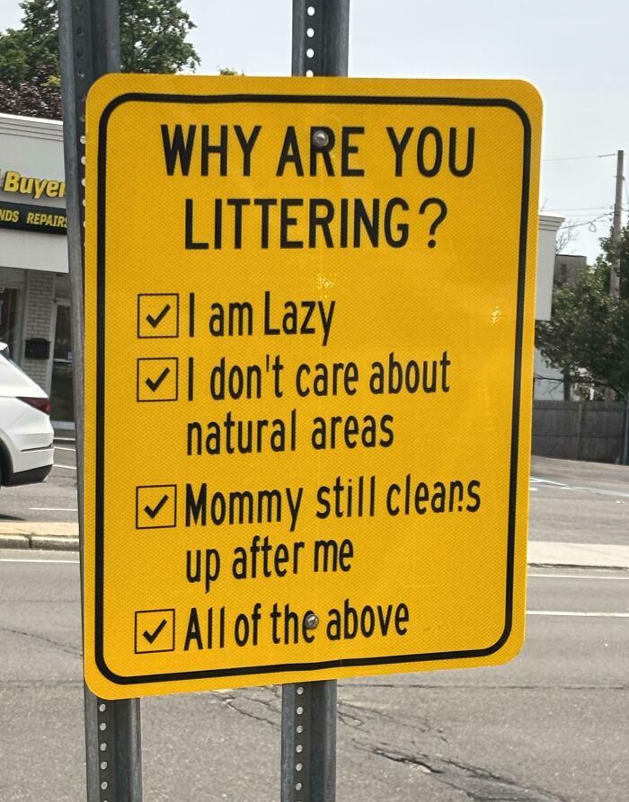 A chaotic sign in the wild asking Why are you littering? with options like I am Lazy and All of the above.