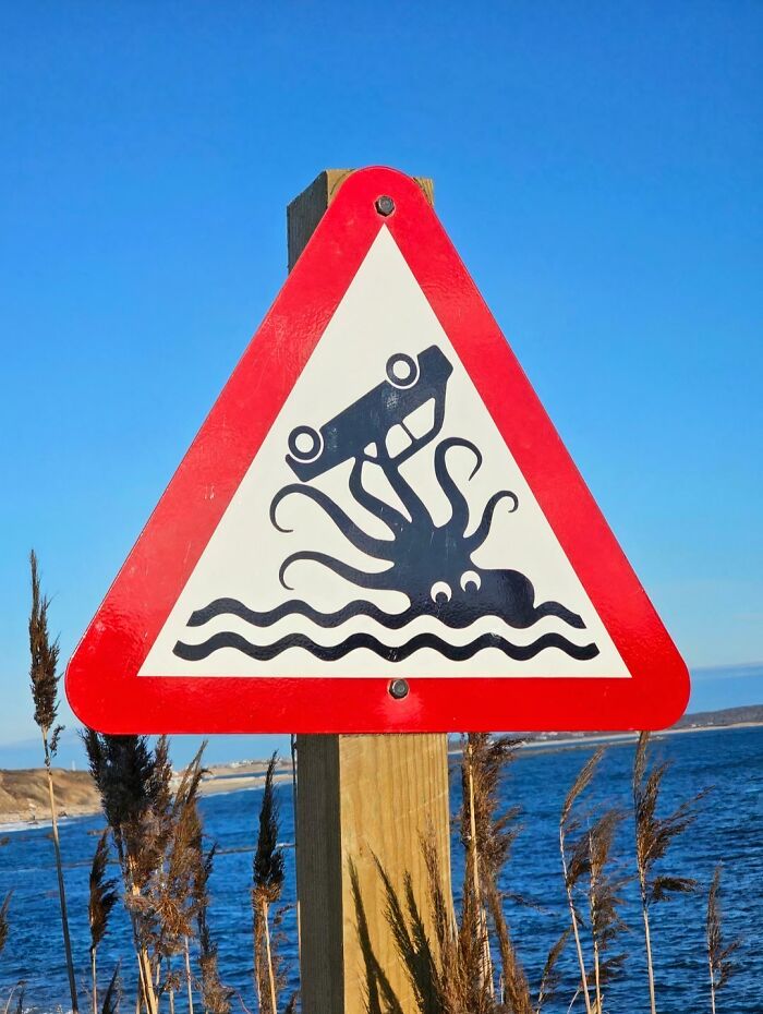 A chaotic warning sign showing an octopus dragging a car into the water.