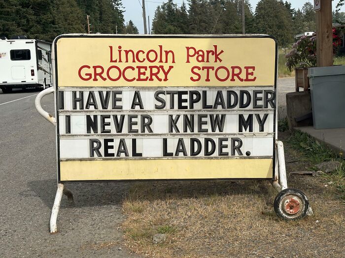 A chaotic sign spotted in the wild at Lincoln Park Grocery Store reads, I have a stepladder, I never knew my real ladder.
