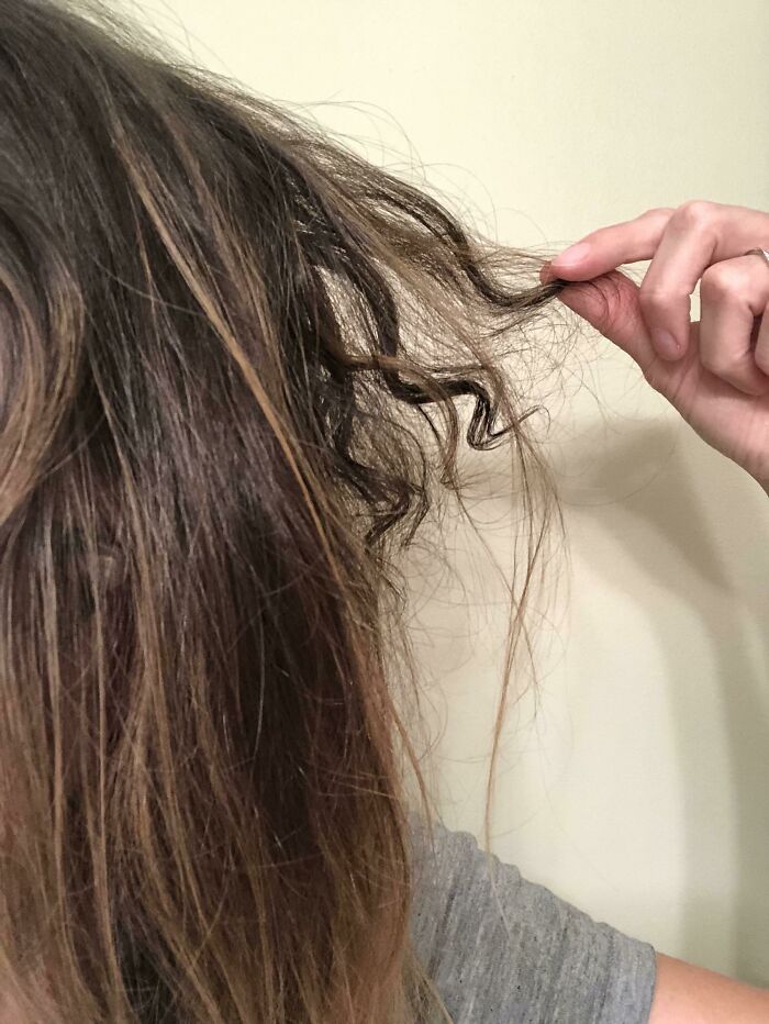 Person holding a single naturally curly hair strand among straight hair