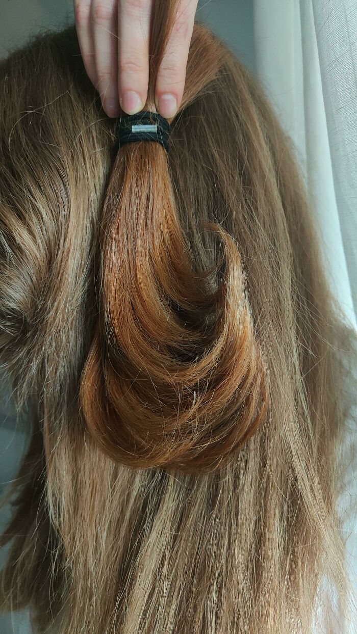 Person holding a patch of uniquely colored hair