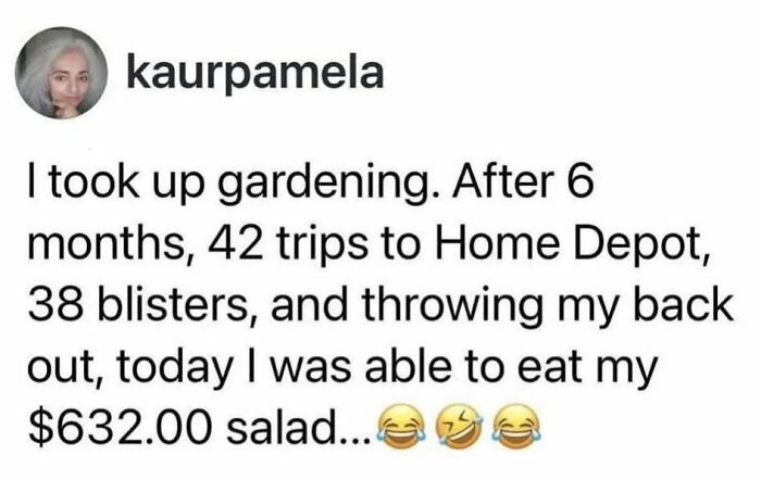 A social media post with a funny anecdote about the expensive cost of gardening for hilarious photos.