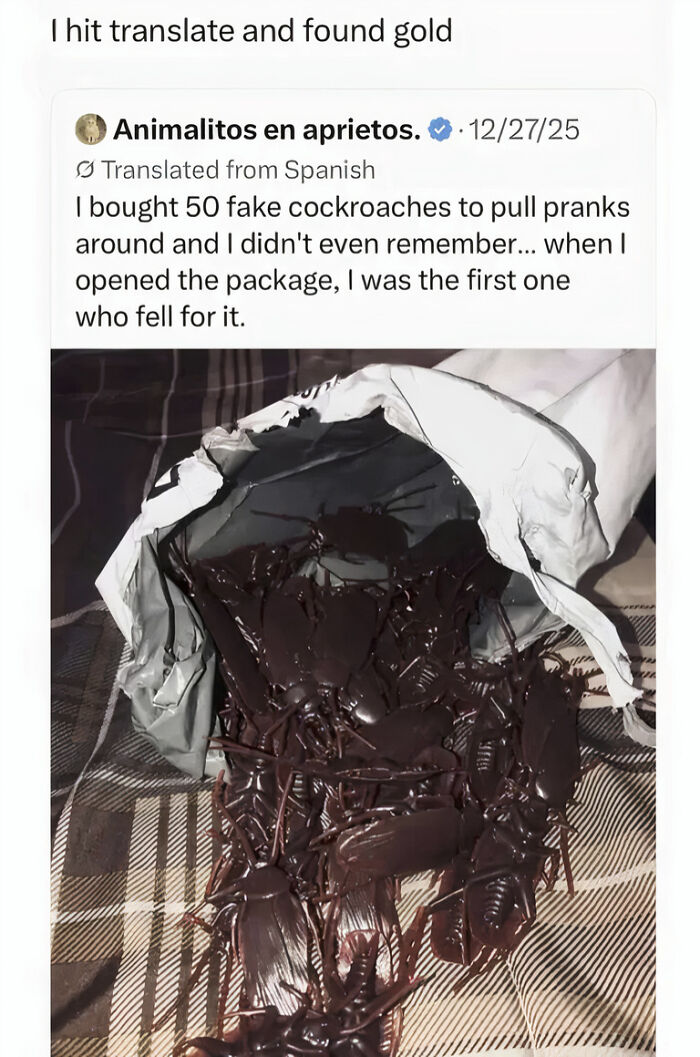 A funny screenshot of a translated tweet about someone buying 50 fake cockroaches for pranks and falling for their own trick, Internet humor.