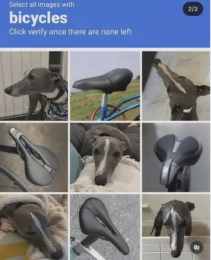 Hilarious photos of a CAPTCHA asking to select bicycles, with dog faces humorously resembling bike seats.