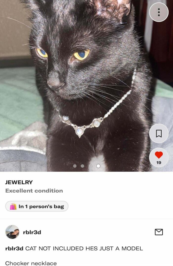 A black cat wearing a choker necklace, with a Depop listing title Cat Not Included, He's Just A Model, highlighting a humorous Depop seller.