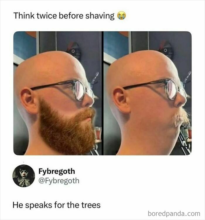 Humorous beard shaving meme with caption about speaking for trees