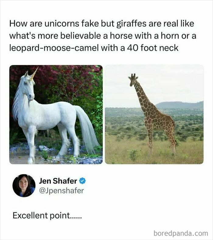 Comparison meme of unicorn and giraffe with funny caption