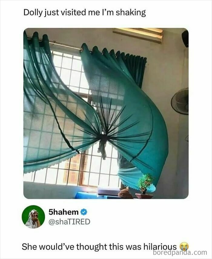 Tied curtains resembling butterfly wings with funny meme text
