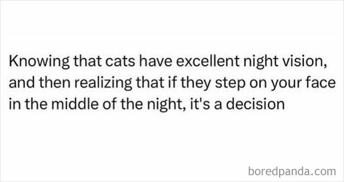 Meme about cats stepping on faces at night showing their excellent night vision