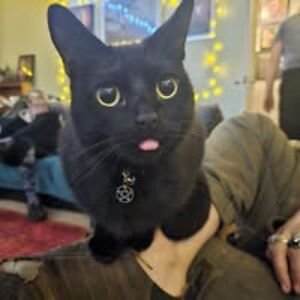 10159615779921551 avatar