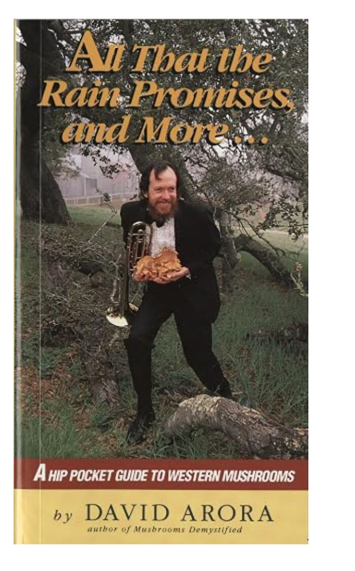 Hilariously unhinged book cover of a smiling man in a tuxedo holding a mushroom and a trombone in the woods