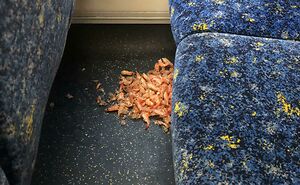 74 Examples Of Completely Wild Public Transport Interactions That Might Make You Buy A Car