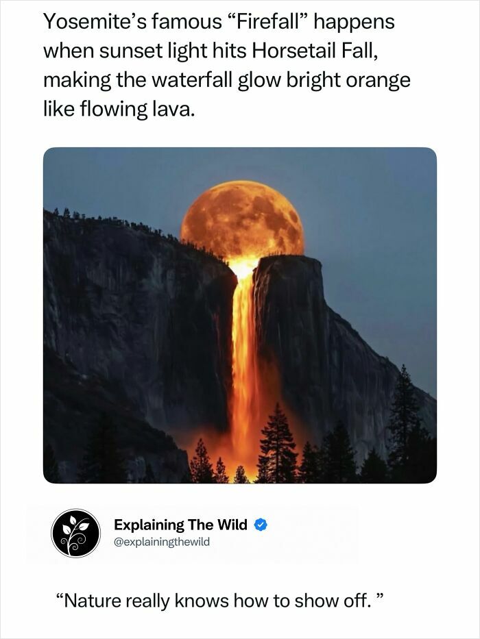 Yosemite's famous Firefall, where sunset light transforms Horsetail Fall into glowing orange lava, an incredible nature phenomenon.