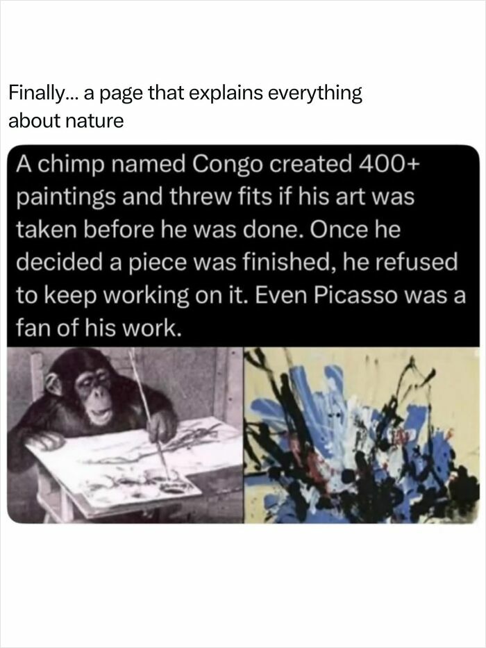 A chimpanzee named Congo painting and his abstract art, demonstrating the incredible nature of animal creativity.