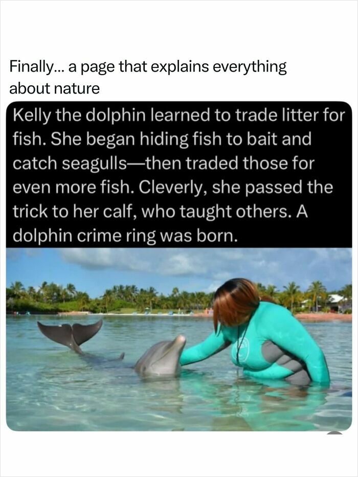 Fascinating photo of a woman interacting with a dolphin, showing incredible nature.