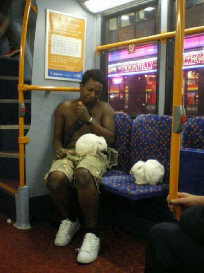 A shirtless man holding white rabbits on a public transport bus