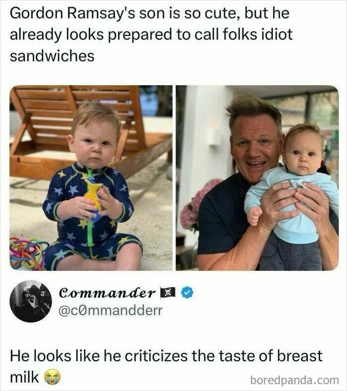 Gordon Ramsays son, a baby in a blue wetsuit and held by Gordon, looks prepared to criticize. This image showcases perfect replies.