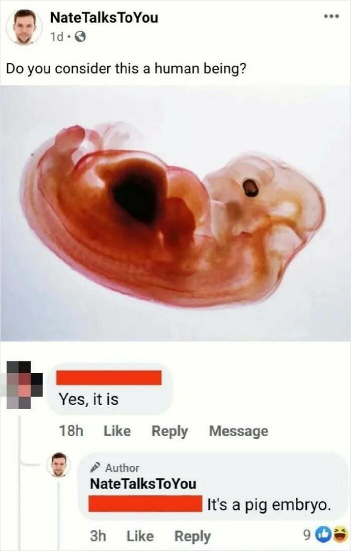 A perfect reply on Facebook to a post asking if a pig embryo is human, revealing the true nature.