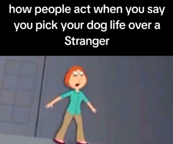 Meme showing how people react when you choose your dog life over a stranger