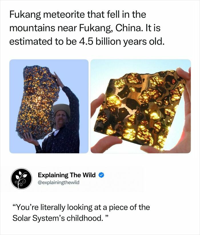 Fascinating photo of incredible nature: Fukang meteorite, a stunning space rock, held by a person and close-up showing golden olivine crystals.