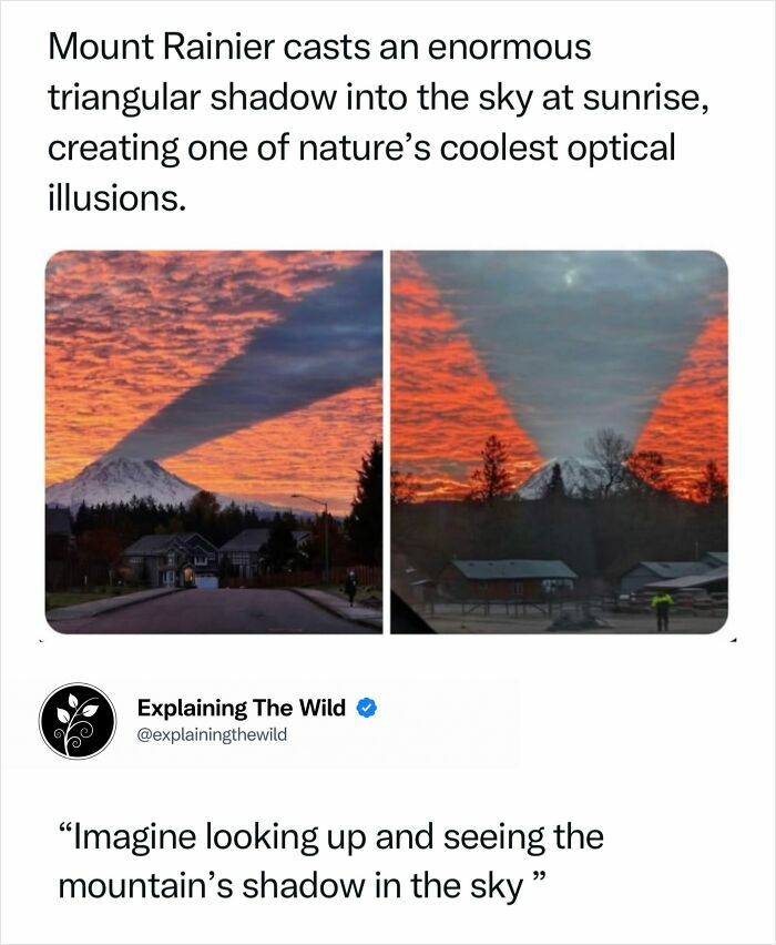 Mount Rainier casting a massive triangular shadow at sunrise, an incredible nature optical illusion over the sky.