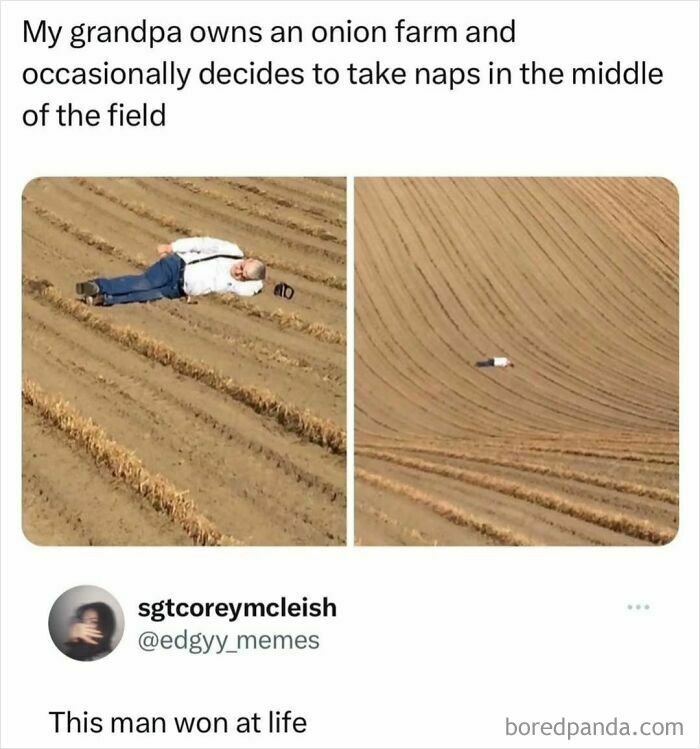 Elderly man taking a nap lying in the middle of an onion farm field