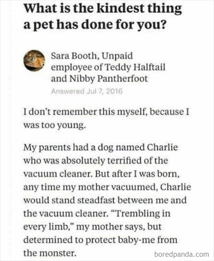 Text story about a dog protecting a baby from vacuum cleaner