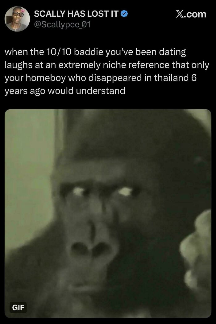 An internet comments meme featuring a shocked gorilla face.