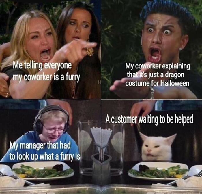 The woman yelling at a cat meme used to showcase funny internet comments about furry coworkers