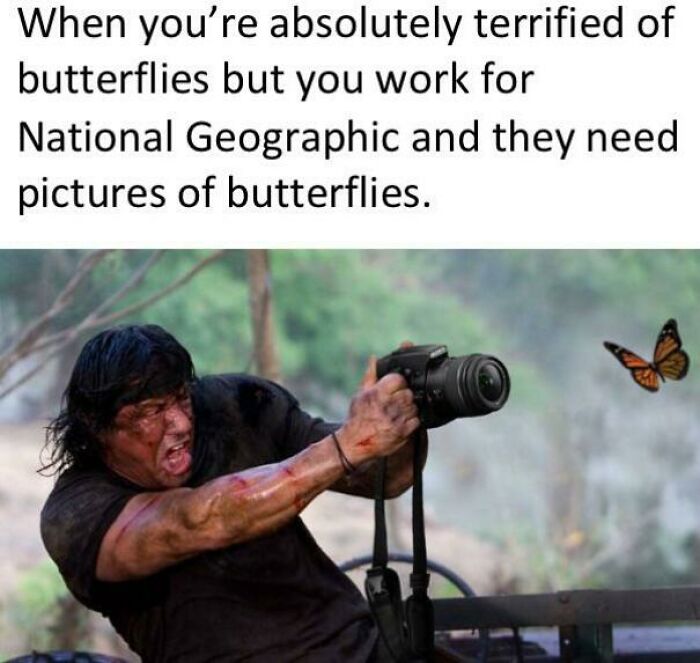 Rambo aiming a camera at a butterfly illustrating hilarious internet comments.