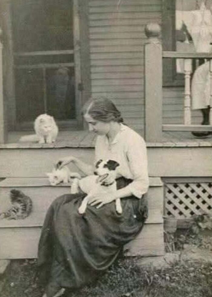 Vintage cat photo showing a woman sitting on porch steps surrounded by white cats and holding a small dog