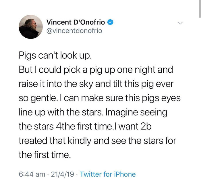 A Tweet by Vincent DOnofrio about pigs and stars representing weird internet comments.