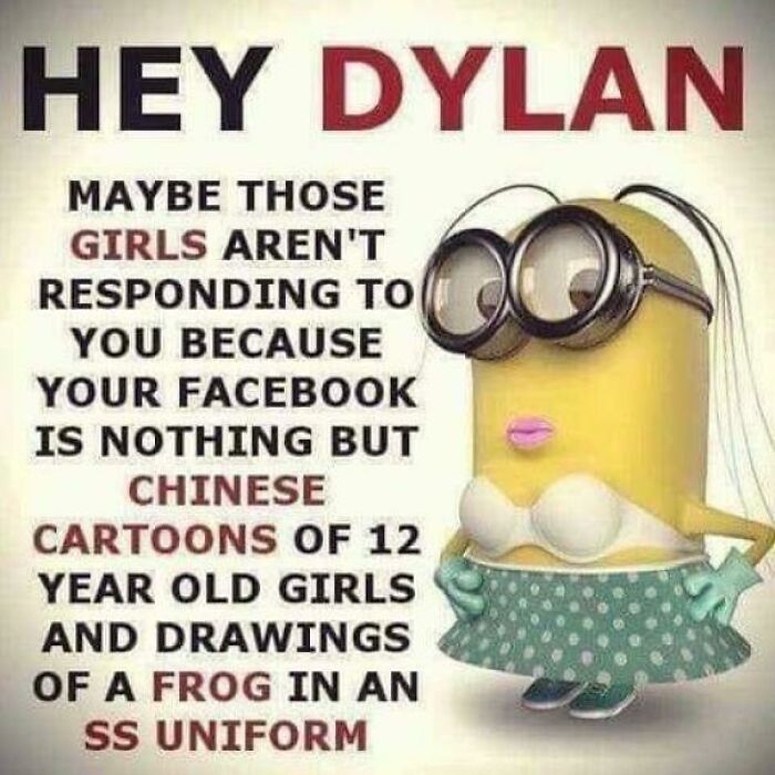 A Minion meme addressing Hey Dylan about his Facebook posts, illustrating internet comments