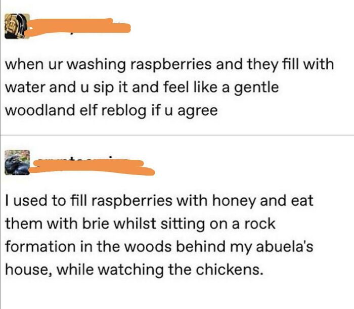 Tumblr posts about eating raspberries and feeling like an elf, illustrating internet comments