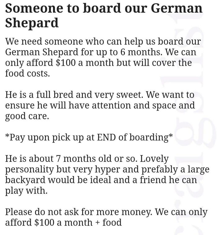 A text post by choosing beggars looking for cheap long-term dog boarding