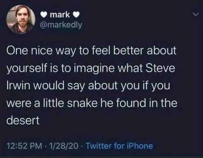An uplifting tweet about Steve Irwin, representing the positive side of internet comments.