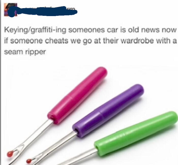 Amusing internet comments suggesting using a seam ripper on a cheater's wardrobe.