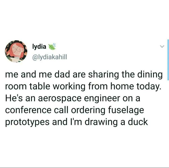 A humorous post about working from home next to an aerospace engineer, a classic in internet comments