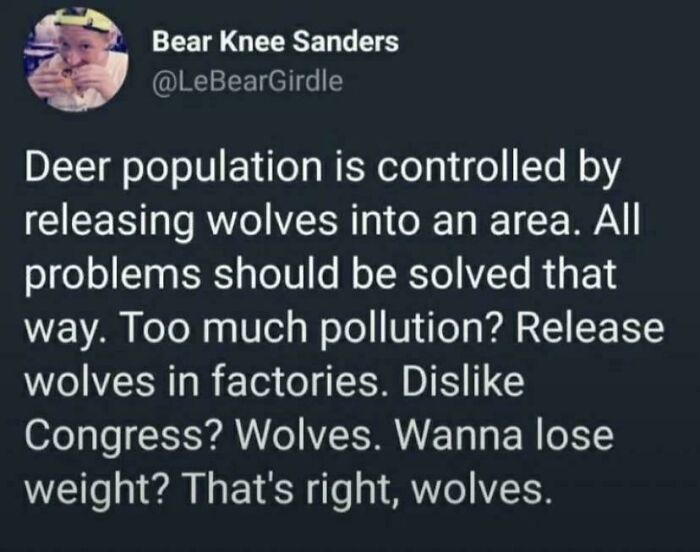 A funny internet comment suggesting releasing wolves into factories to solve all societal problems.