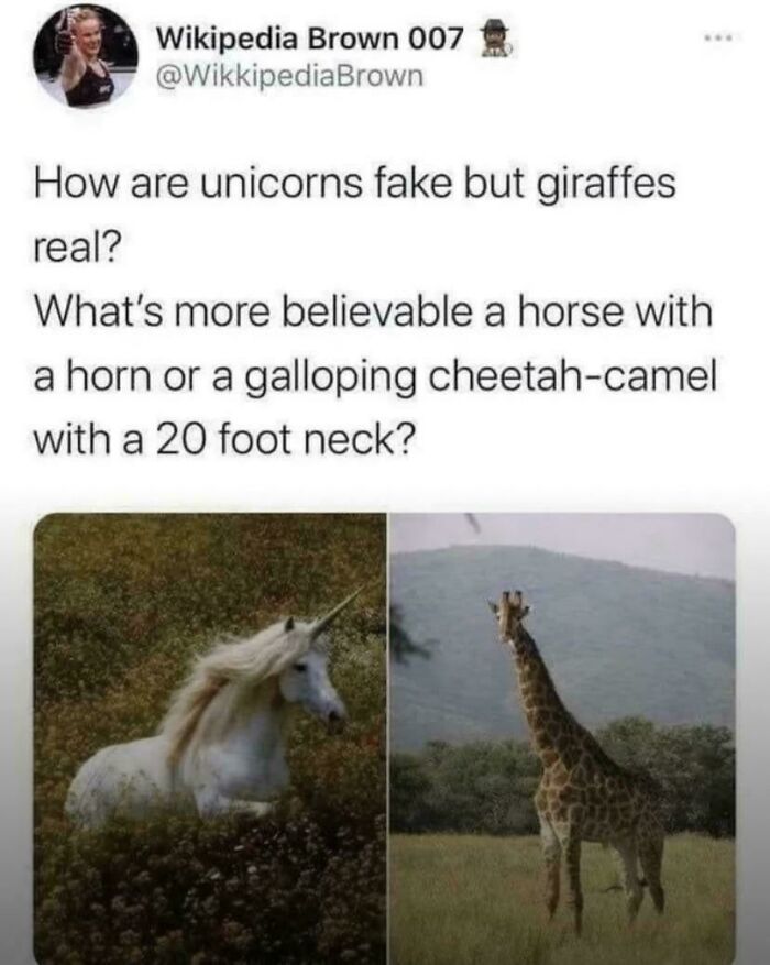 An internet comment comparing a mythical unicorn with a real-life giraffe with photos of both.