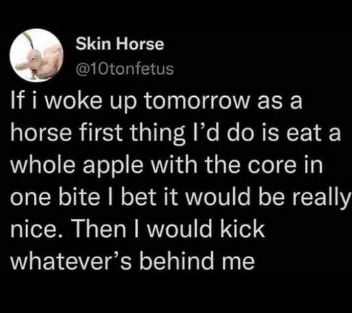 Hilarious internet comment about waking up as a horse and eating an apple with the core in one bite