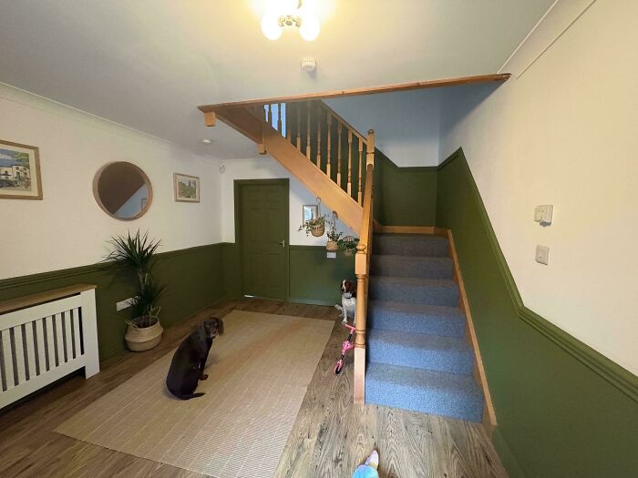 Green painted hallway with a wooden staircase and dogs, illustrating DIY Home Upgrades.