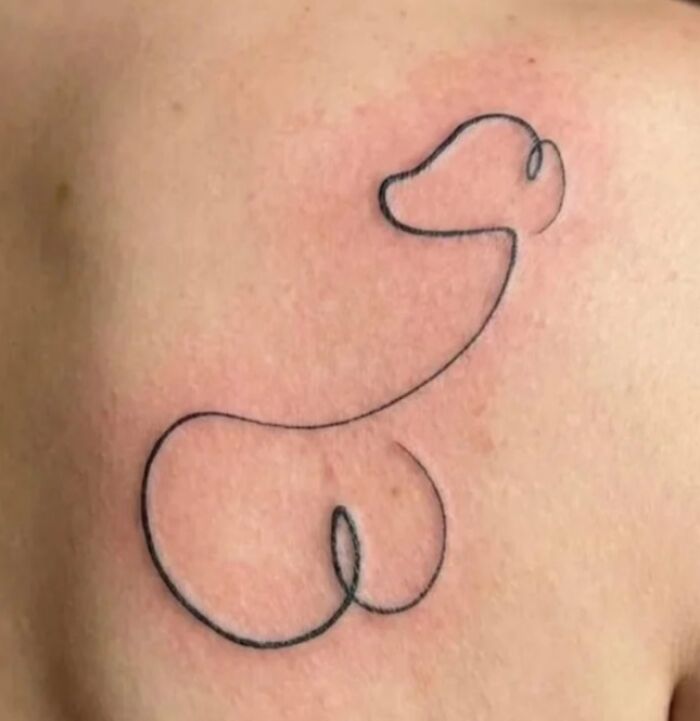 That's Supposed To Be A Minimalist Pup. I Don't See It Either