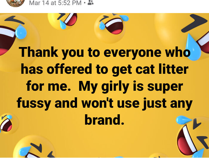 Social media post of choosing beggars rejecting free cat litter because their cat is too fussy.
