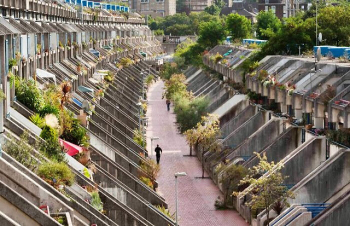 Example of residential urban planning infrastructure featuring terraced apartments with lush plants