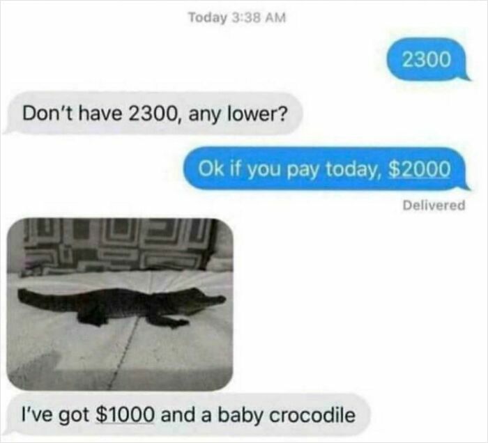 Chat messages showing choosing beggars offering a baby crocodile and 1000 dollars instead of the 2000 dollar price.