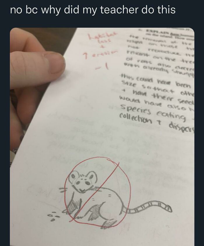 A hand-drawn rat crossed out in red on a graded school assignment by teachers.
